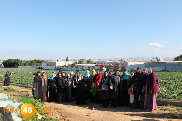 re7la tolkarem (65).JPG